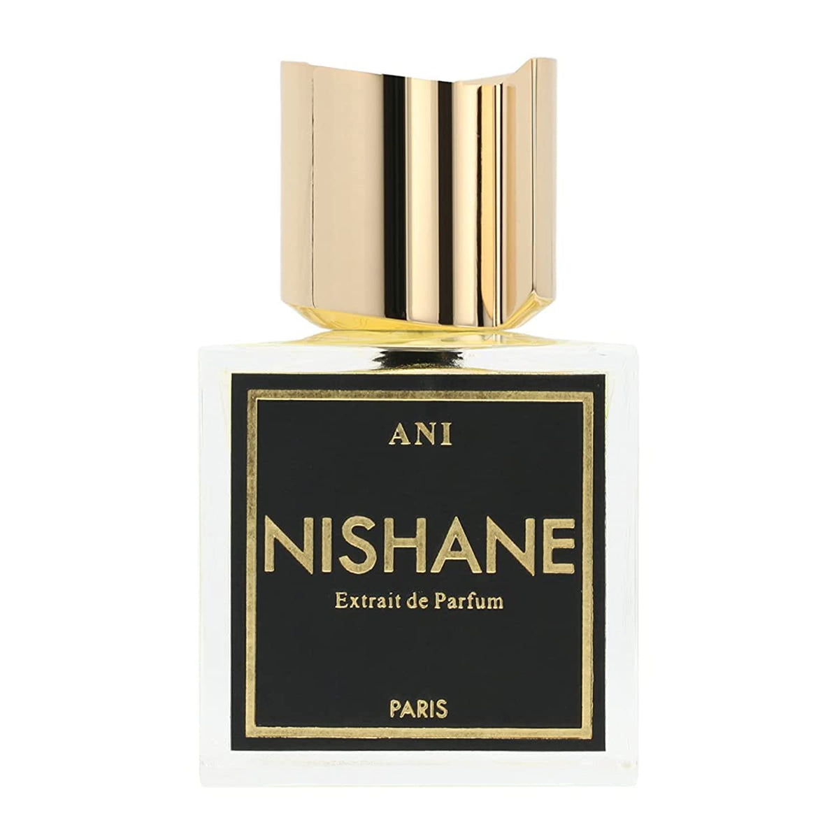 Nishane Ani Unisex Extrait De Parfum 3.4 Oz Spray with Warm Spicy Floral Aroma